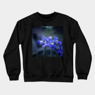 Iris Crewneck Sweatshirt